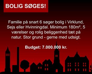 opslagsbillede