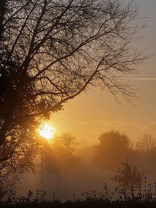 Se dagens updates fra Hammel her