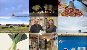 Nyt fra Brønderslev Caravan & Trailer Center , Holmberg Handel ApS, Ejendomsmæglerfirmaet Thomas Risager A/S og 6 andre