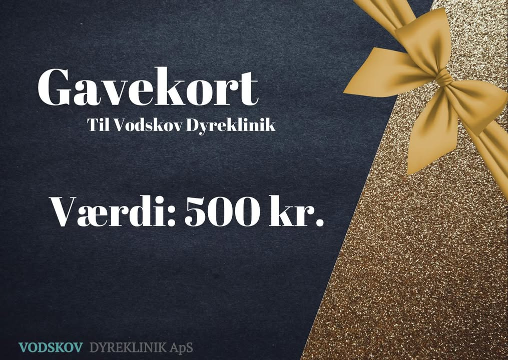 Vodskov Dyreklinik lancerer adventskonkurrence med gavekort til kæledyrsejere