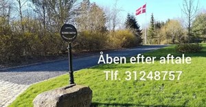 Kost og Krop tilbyder personlig kostvejledning til en sundere hverdag