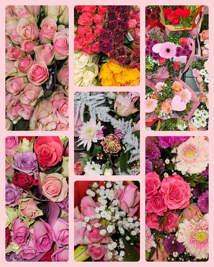 Det nyeste på Frederikshavns opslagstavle