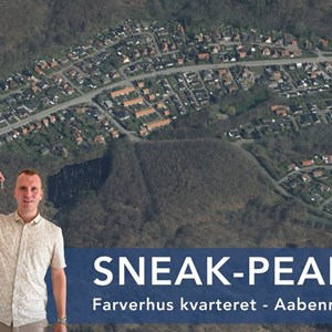 Opslagsbillede
