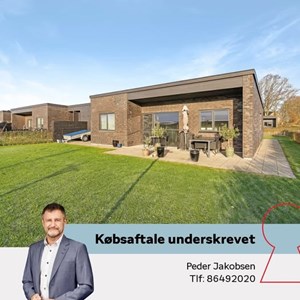 Opslagsbillede
