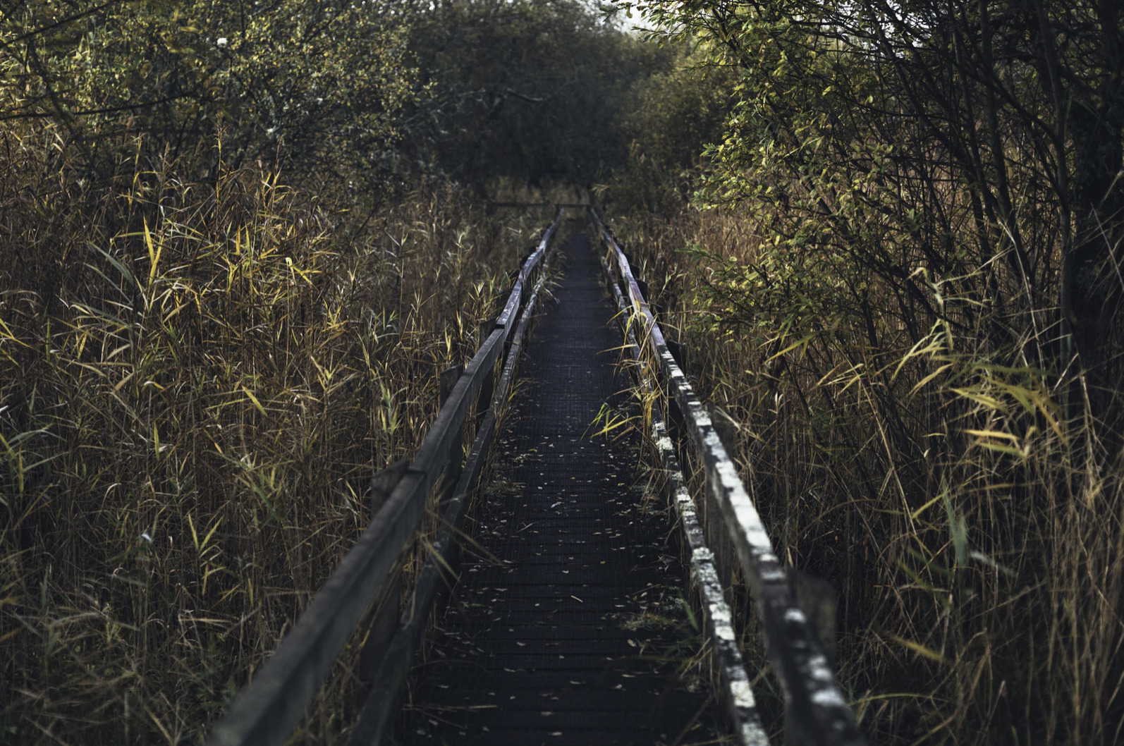 Nyt digitalt kort gør 65 kilometer gå-rute nemmere