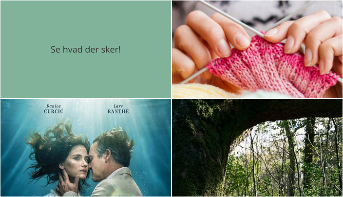 Oplev spændende arrangementer i Løgumkloster: Strikkefællesskab, Biograffilm og Foredrag om Naturens Helende Kræfter