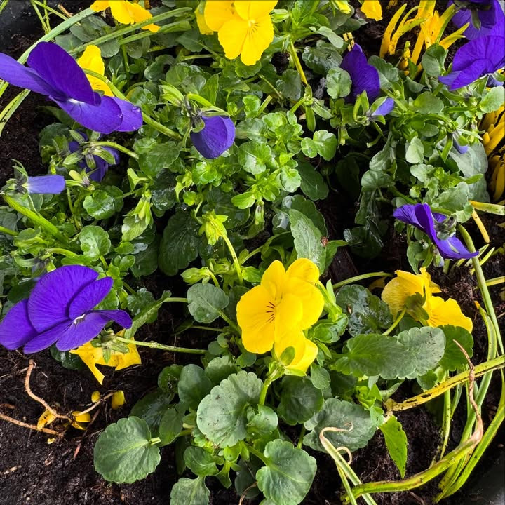 Nyt fra Café Møller