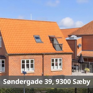 Opslagsbillede