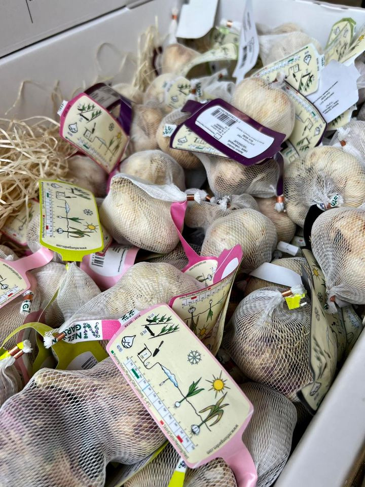 Hold trit med lokalområdet: Nyt fra Sæby