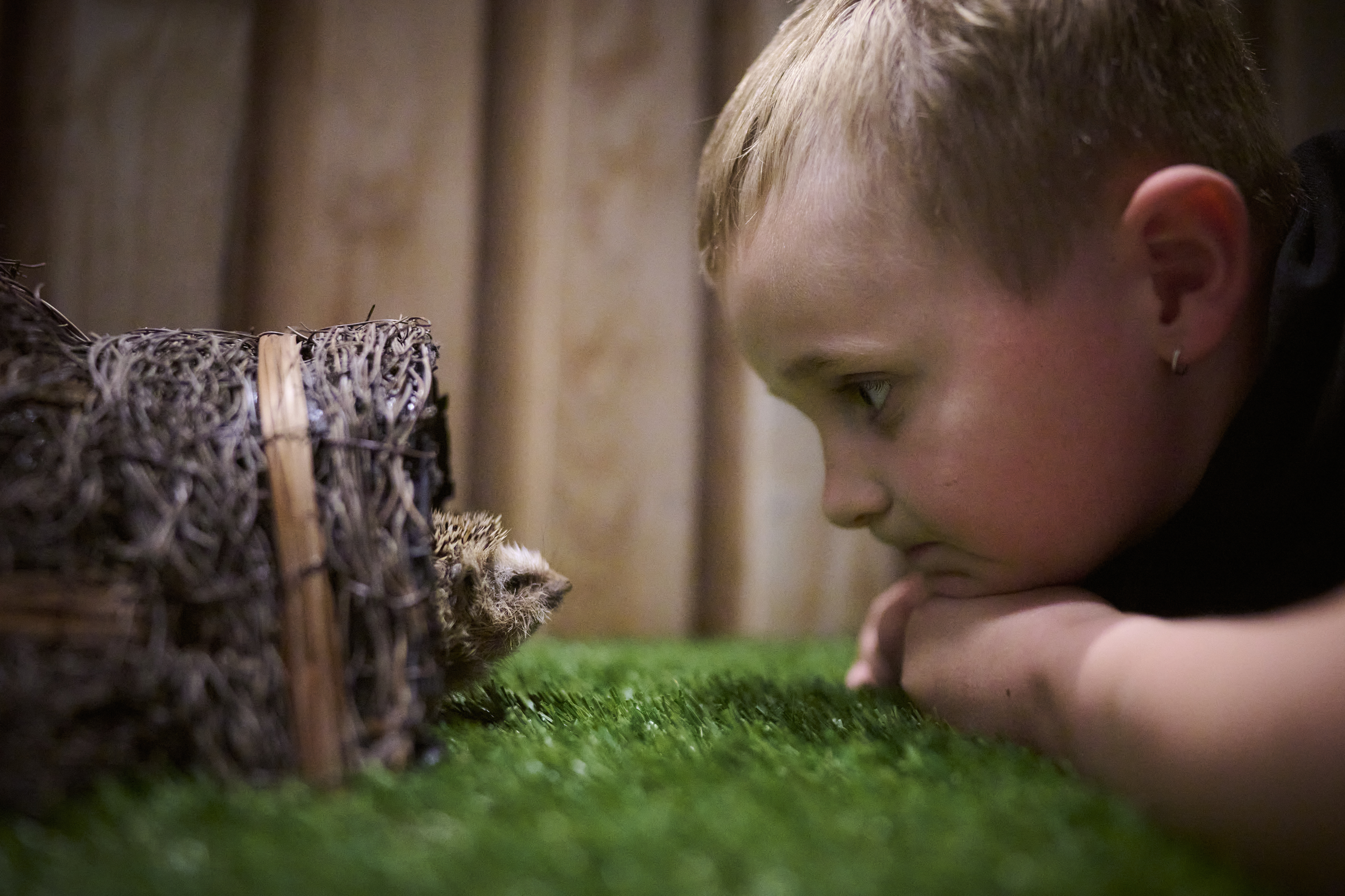 Oplev vinterens magi og Grønlands dyreliv på Naturama