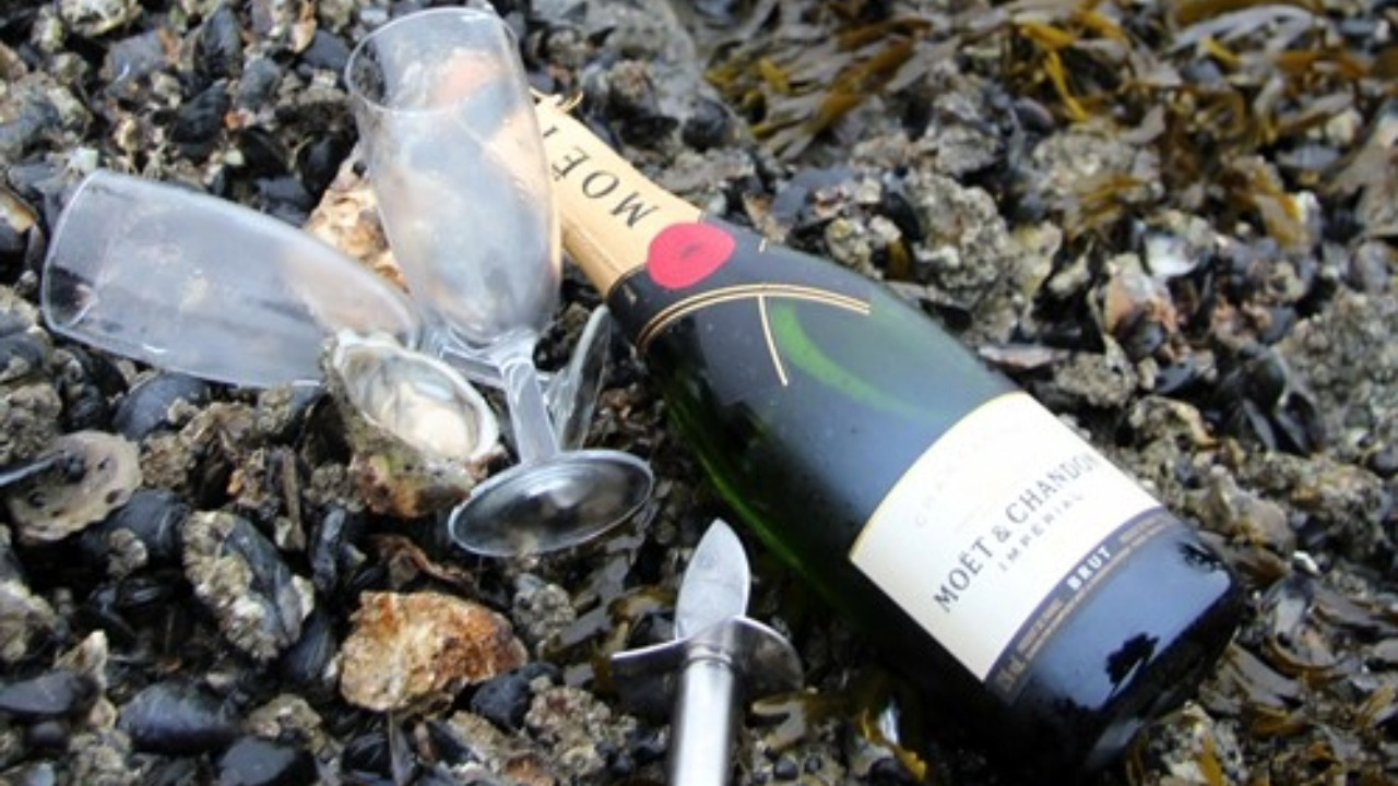 Oplev Vadehavets storhed med østerssafari på Mandø