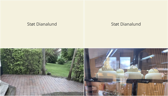 Nyt fra Mosegaard Entreprise v/ Henrik Larsen, Bruuns Chokolade og Rekord rens og vask v/Berit Nyborg