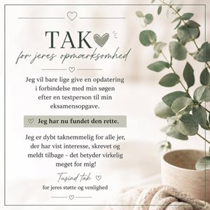 Opslagsbillede