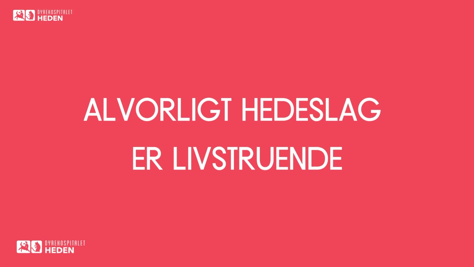 Det nyeste på Hernings opslagstavle