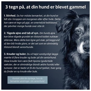 Opslagsbillede