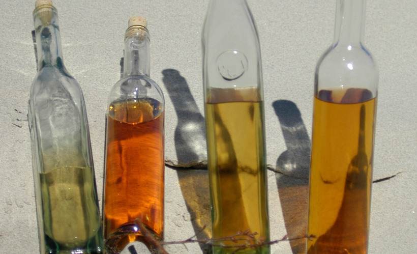 Oplev urtesamling til Skagen snaps på Naturhistorisk Museum