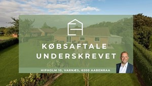 opslagsbillede