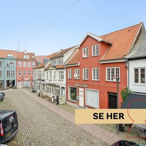 Opslagsbillede