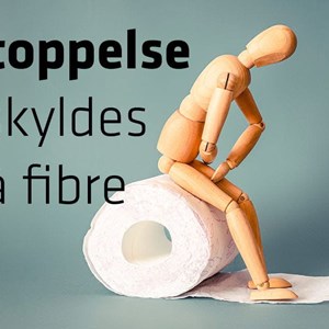 Opslagsbillede