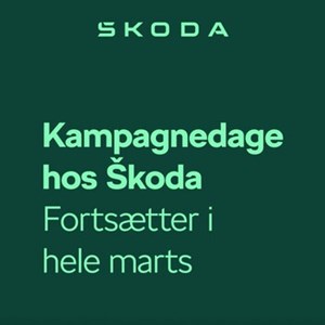 Opslagsbillede
