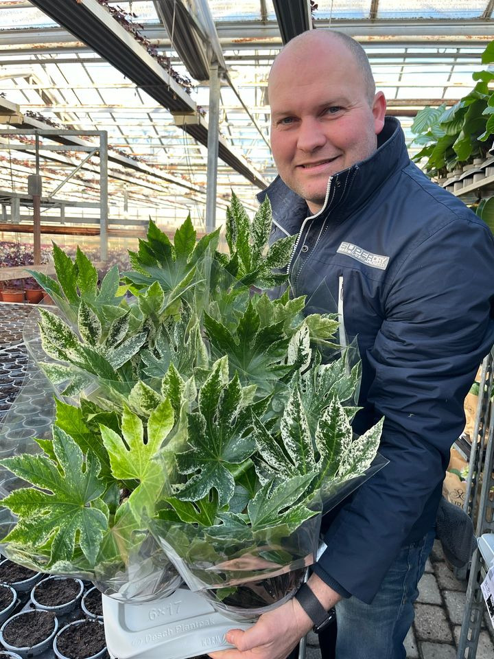 Det nyeste på Horsens’ opslagstavle