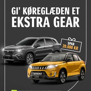Opslagsbillede