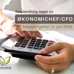 Opslagsbillede