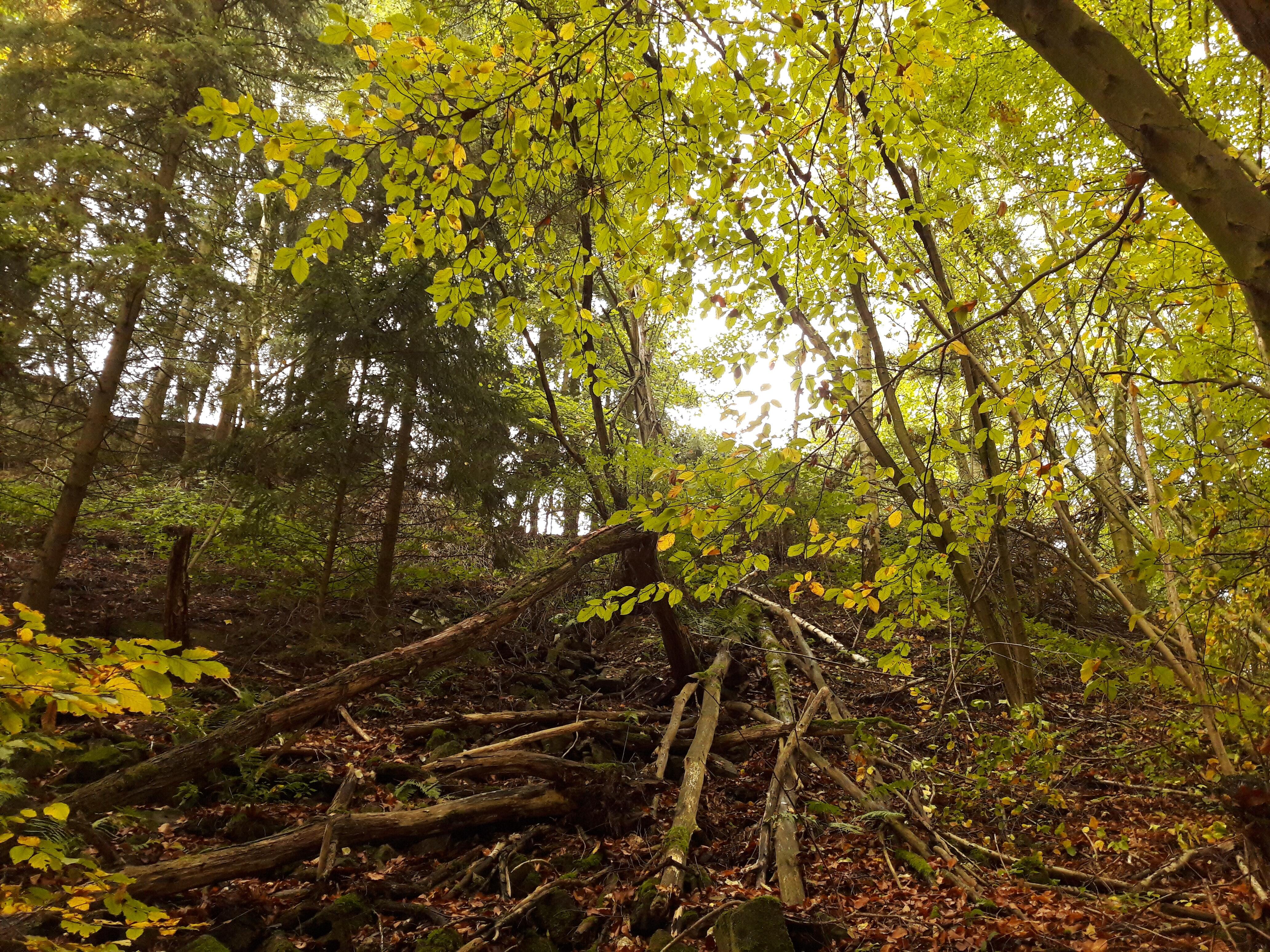 Lokal støtte til reparation af bro viser ægte sammenhold 
