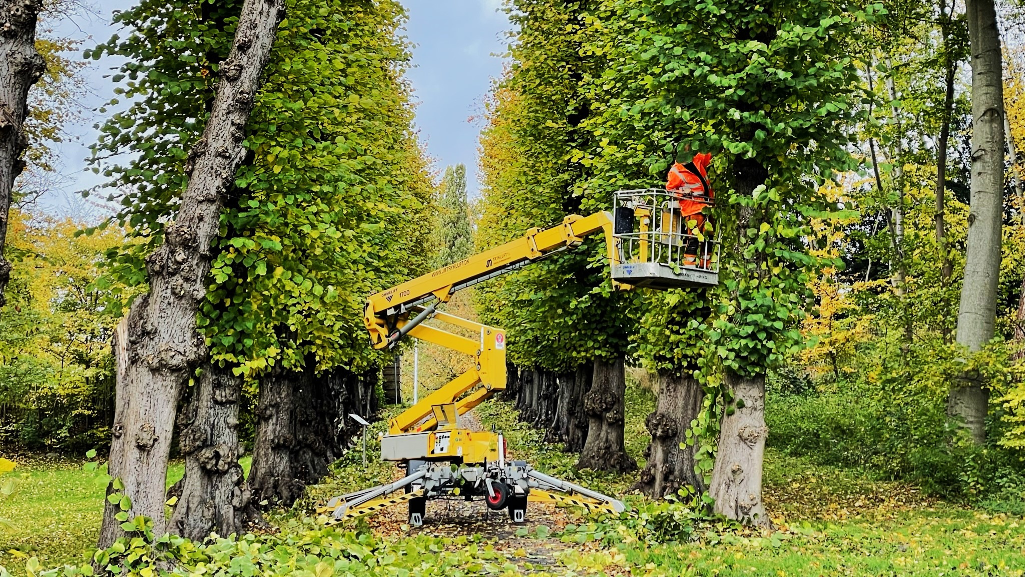 Efterårstravlhed i byens parker