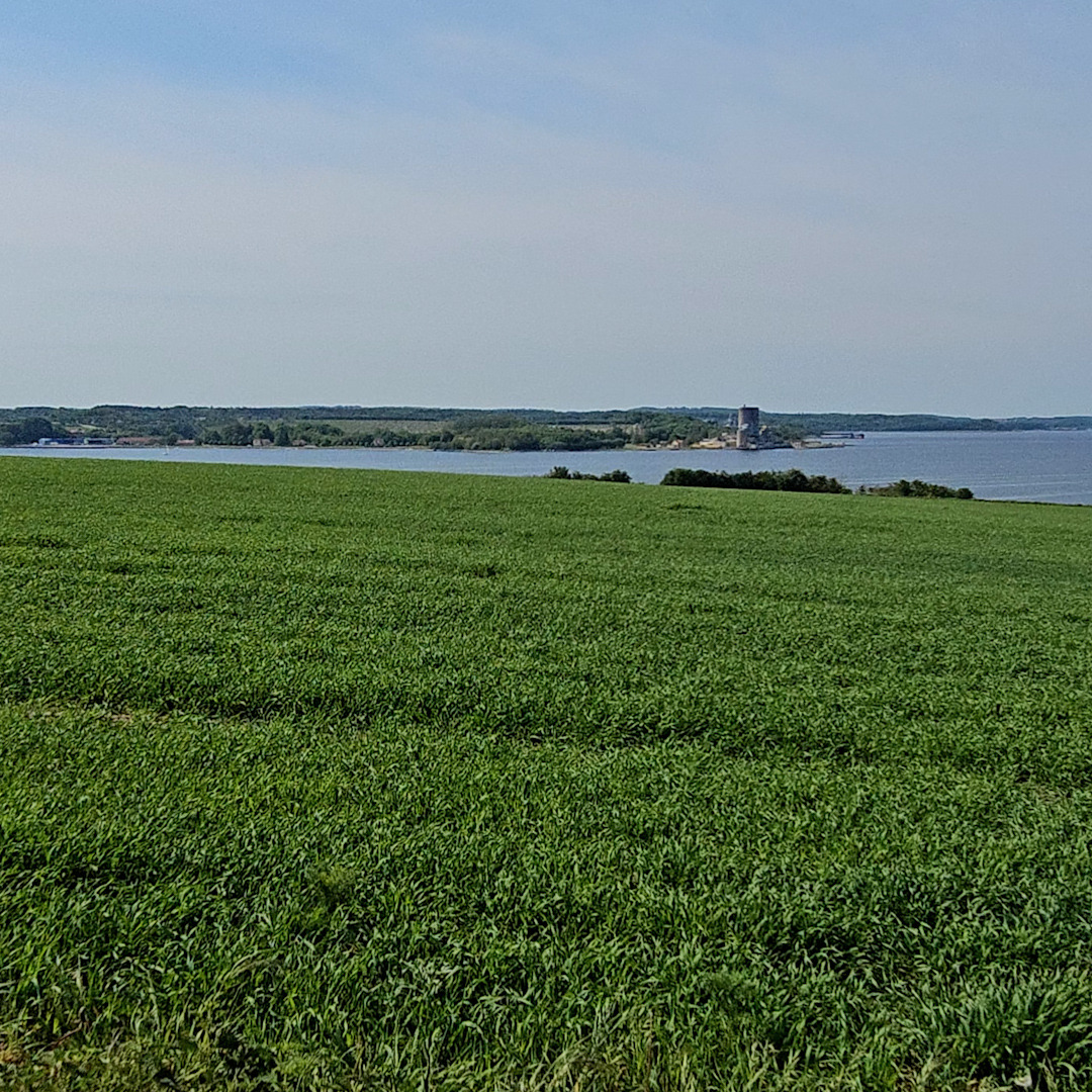 Se dagens updates fra Hadsund her