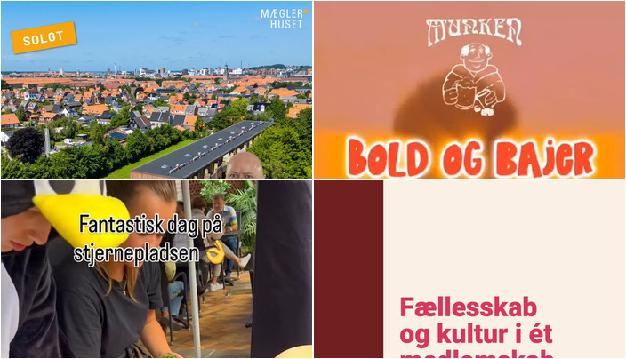 Nyt fra Pingvin ApS, Munken Aalborg Vestby ApS, Fokus Folkeoplysning og 1 anden