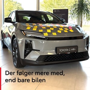 opslagsbillede