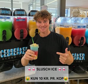 opslagsbillede
