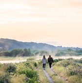 Vejle Kommune udvælger fire kreative forslag til fremtidens landskabs- og aktivitetspark