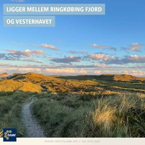 Opslagsbillede