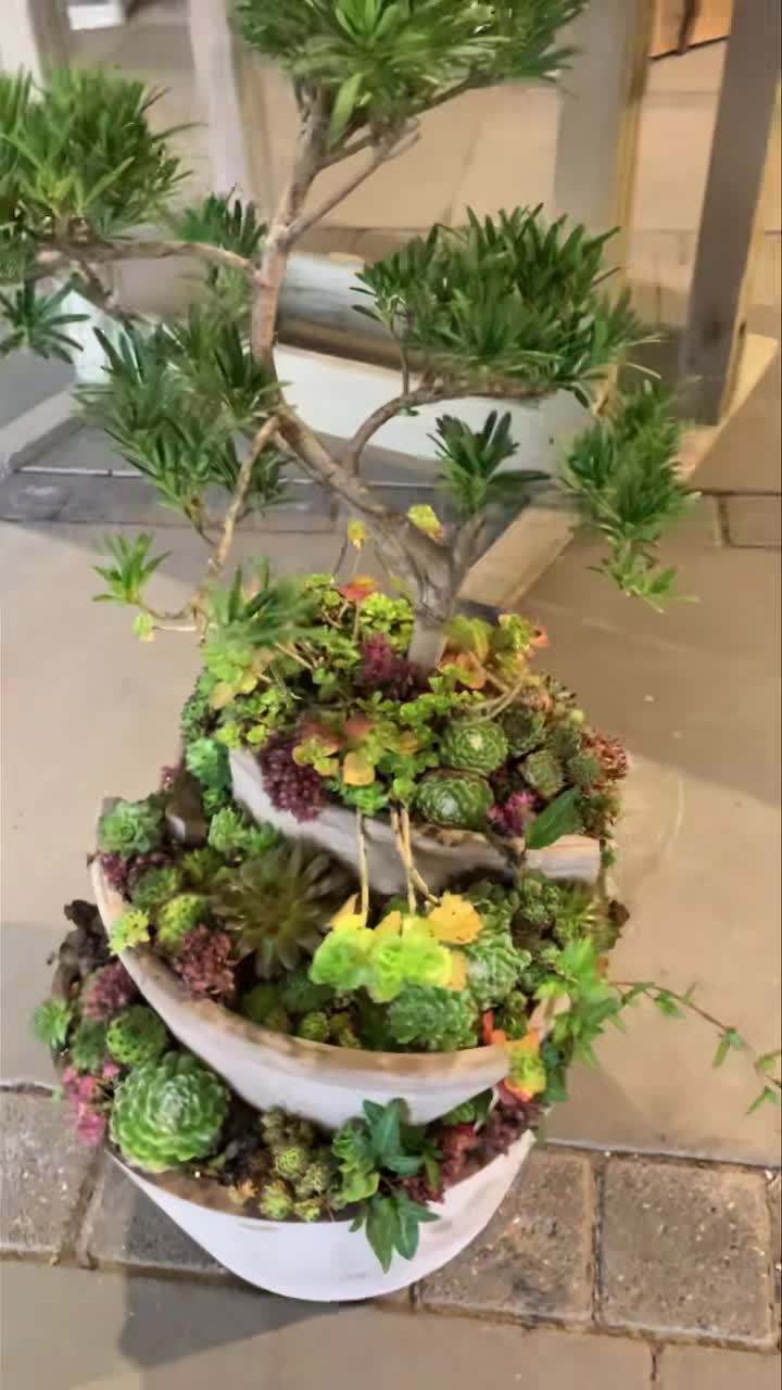 Opslagstavlen: Nyeste opdateringer fra Brønderslev