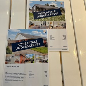Opslagsbillede