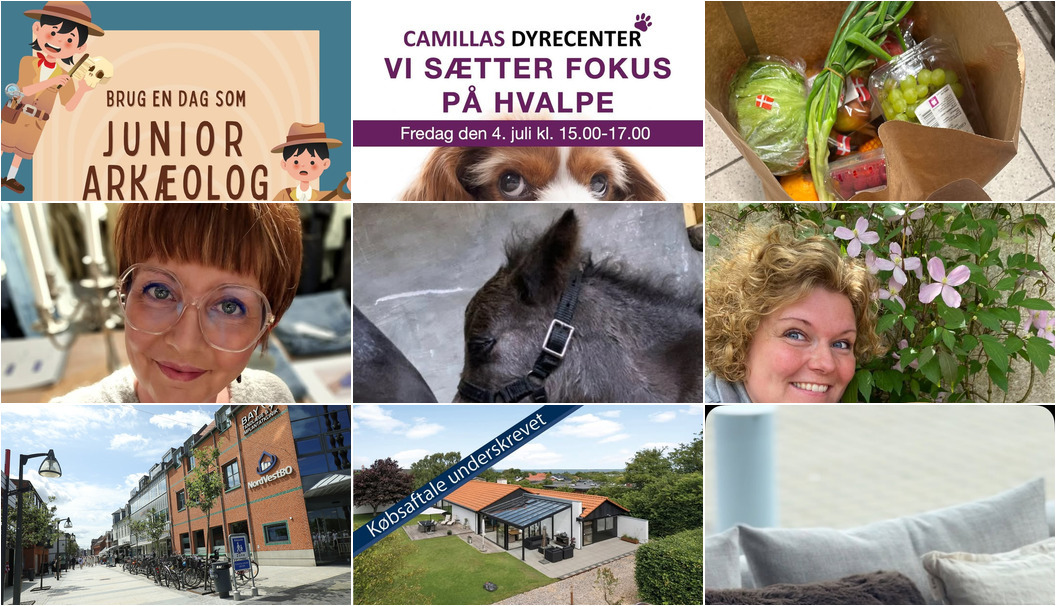 Nyt fra Museerne i Holstebro, HESCA, Lux By Jakobsen og 8 andre