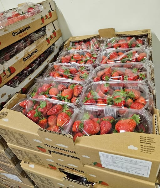 Løgstørvejens Bageri afslører hemmeligt tilbud senere i dag