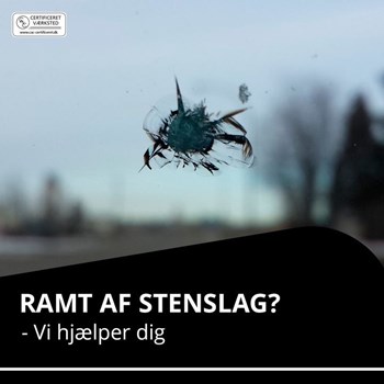 Opslagsbillede