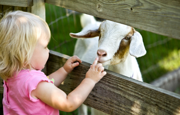 Oplev din kommune: 3 fede oplevelser i Mariagerfjord