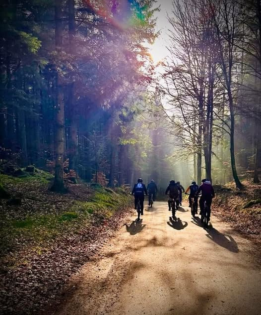 Oplev skoven på en guidet e-mtb tur med Sæby cykler