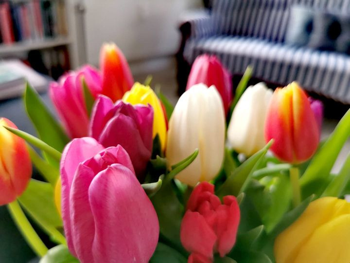 Det nyeste på Skives opslagstavle