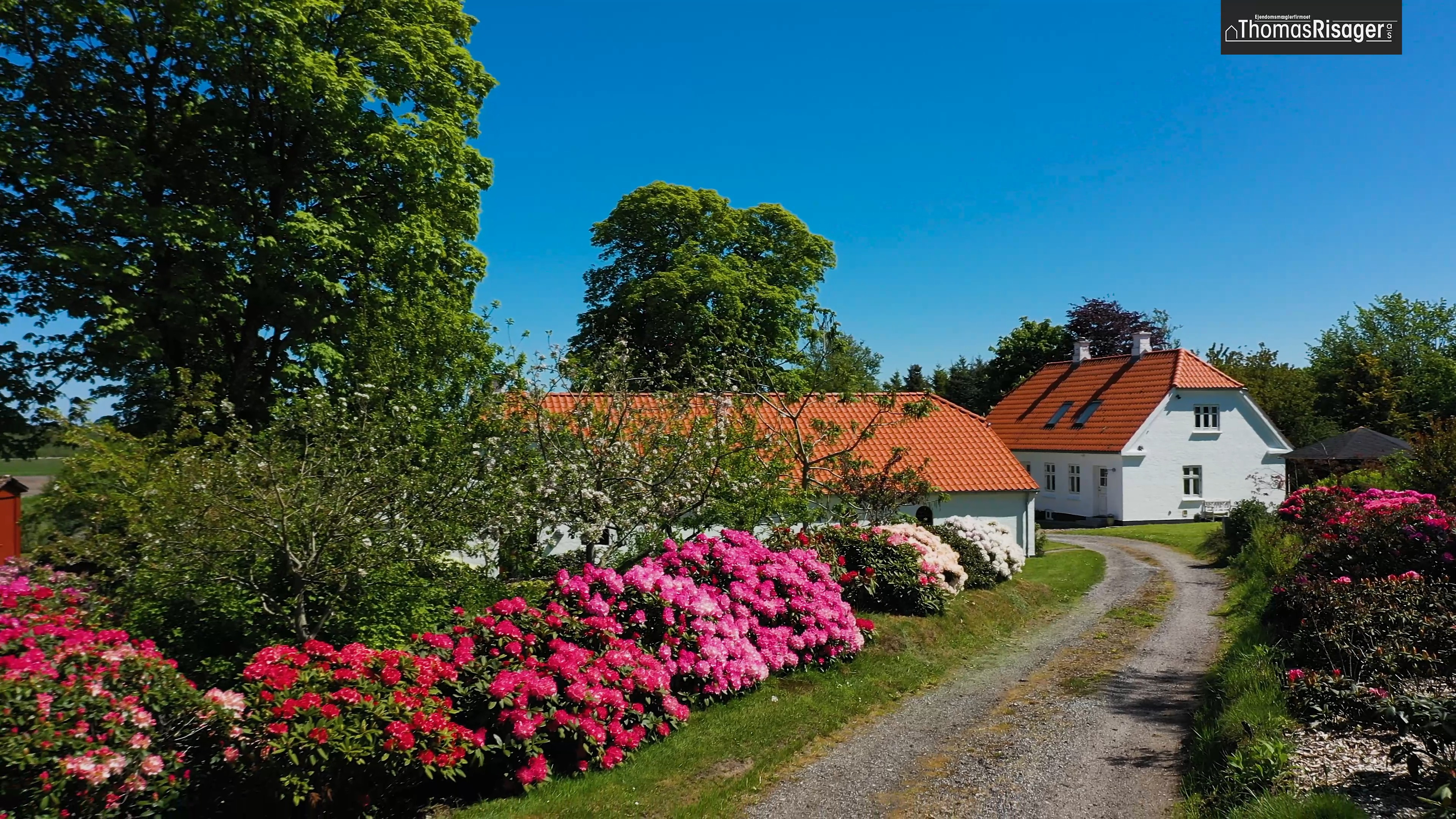 Opslagstavlen: Nyeste opdateringer fra Hjørring