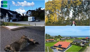Nyt fra Jensen Jordbær, Mæglerhuset Sæby, Nybolig Sæby A/S og 1 anden