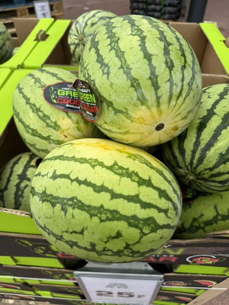 Rema 1000 Ringsted i Jyllandsgade tilbyder store vandmeloner til 25 kr.