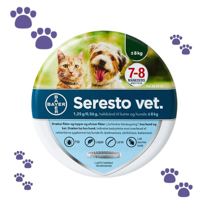 Hold dig ajour med dagens opdateringer fra Holstebro