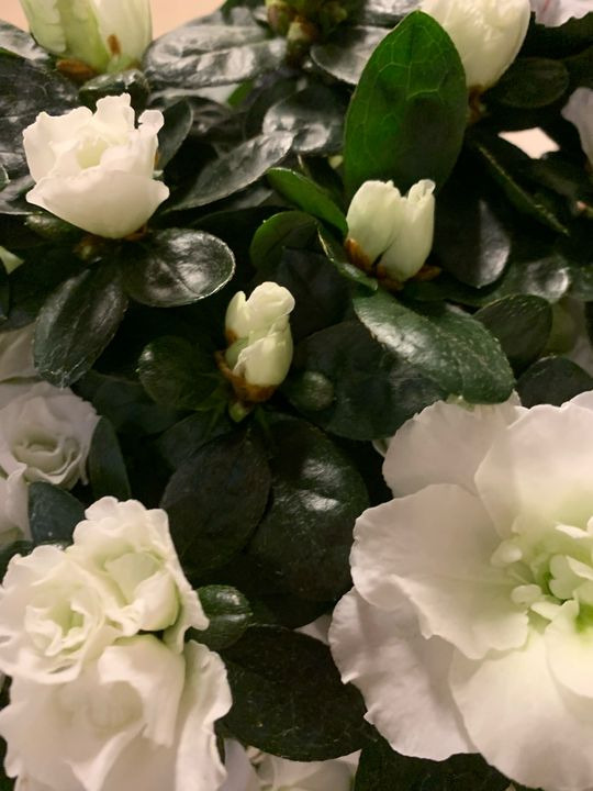 Nyt på opslagstavlen i Brønderslev