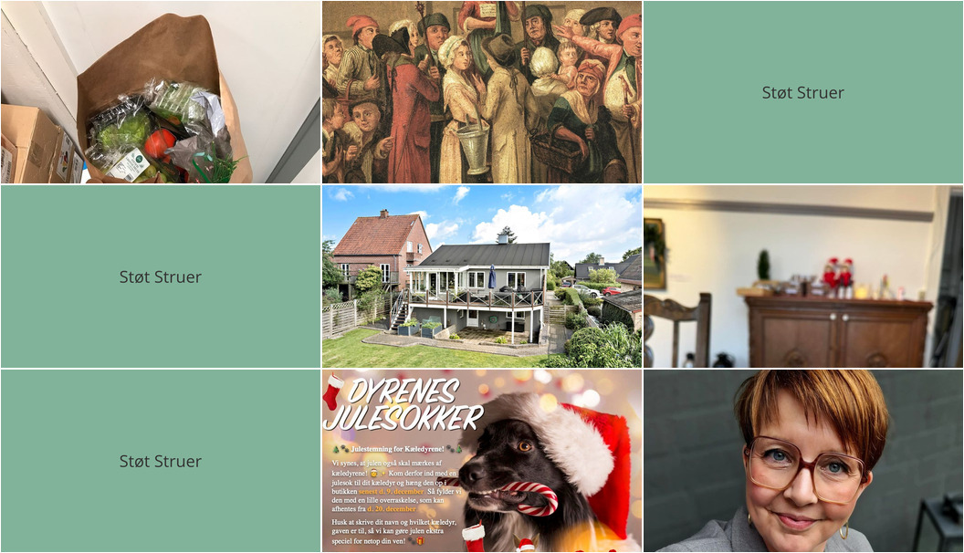 Nyt fra Museerne i Holstebro, EDC Ejen­doms­grup­pen Struer, MIN KØBMAND I ASP og 3 andre