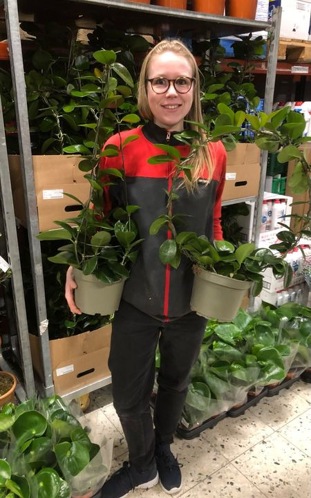 Det nyeste på Odders opslagstavle